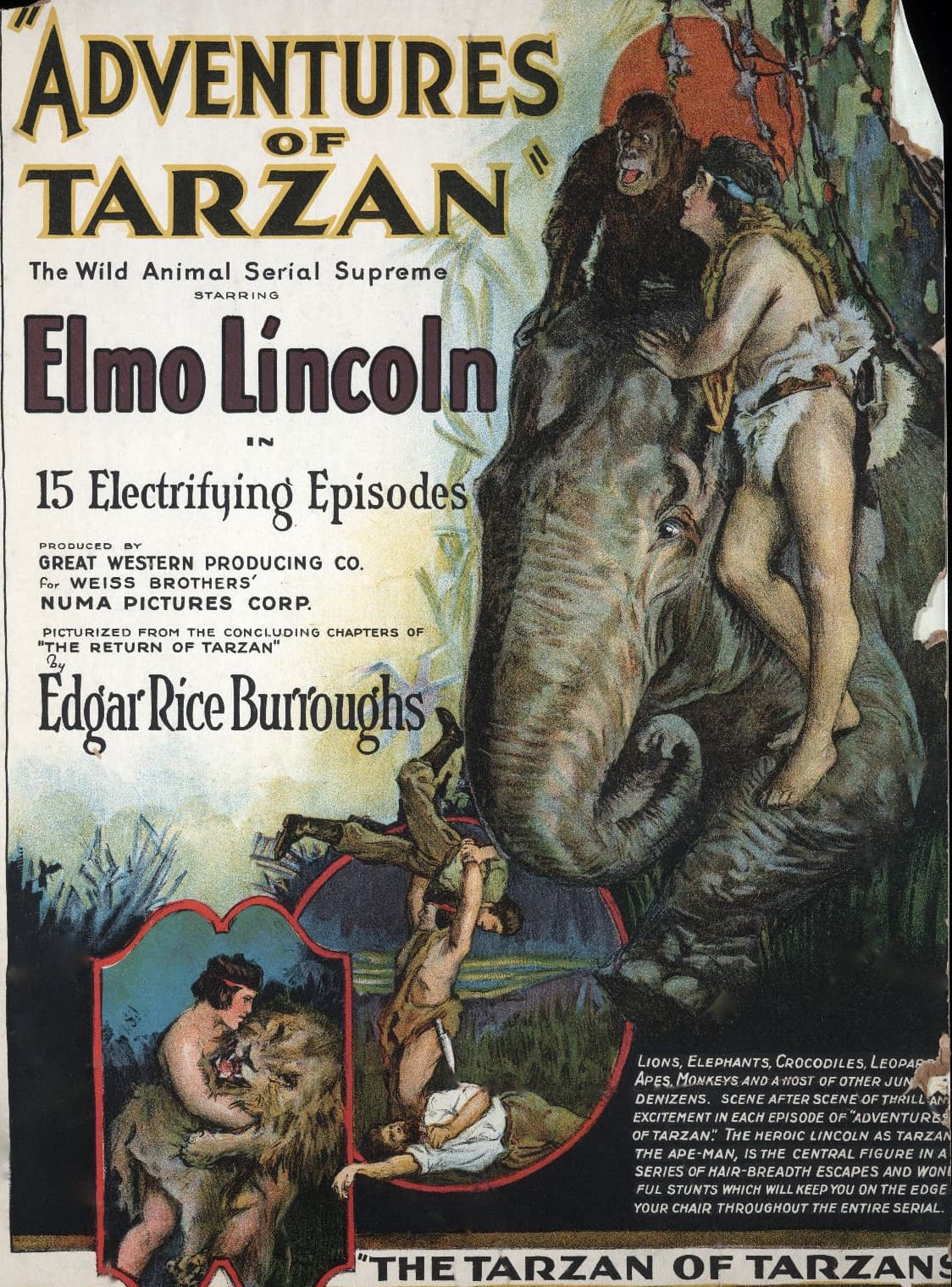 Adventures of Tarzan poster