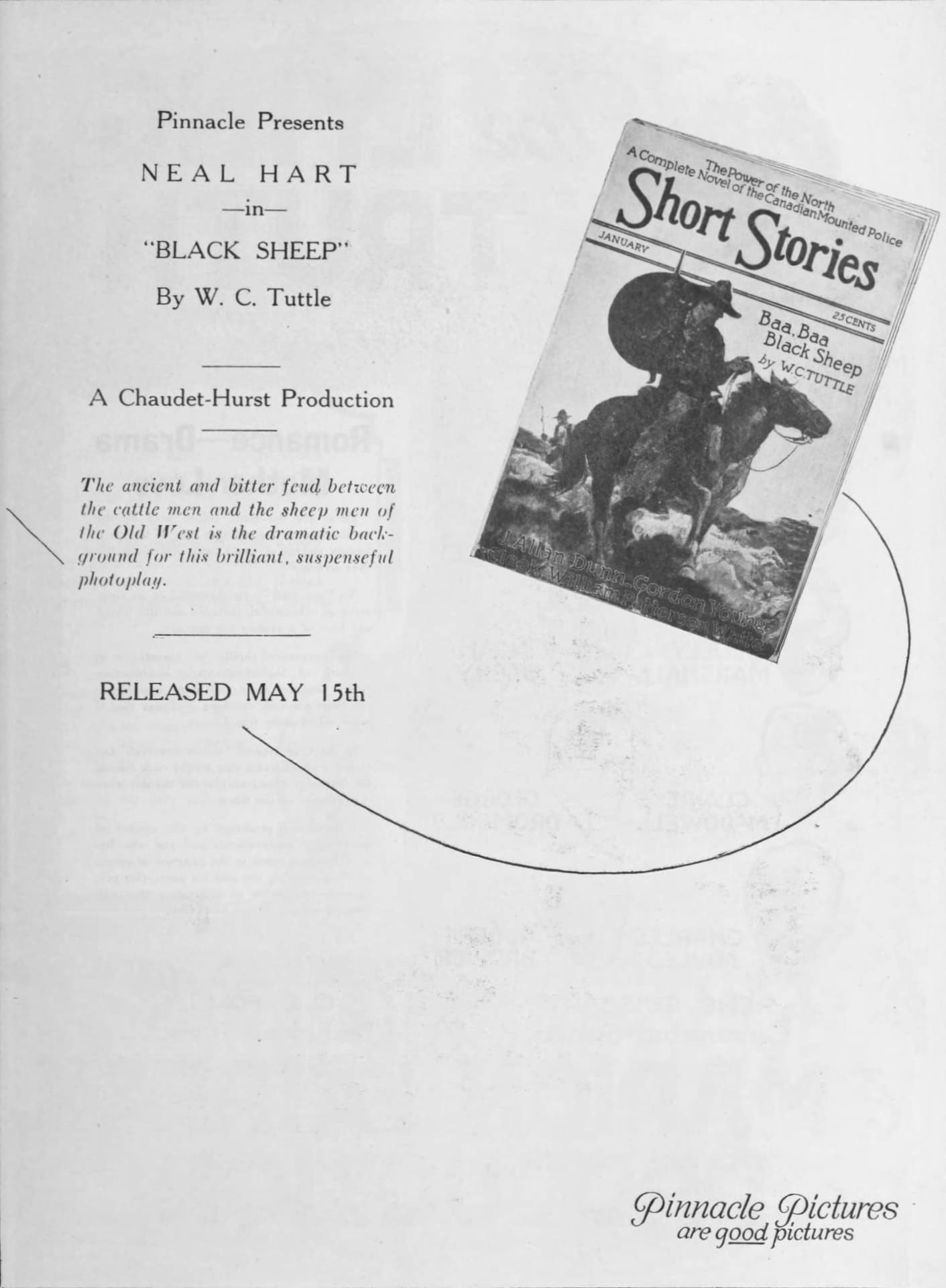 Black Sheep poster – Cult Cinema