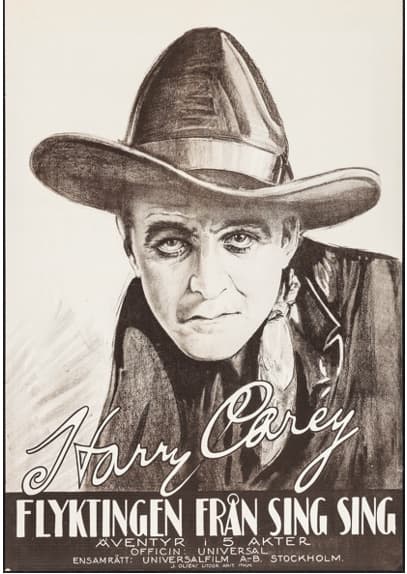 Desperate Trails poster – Cult Cinema