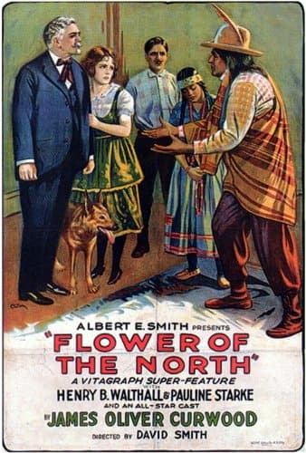 The Flower of the North poster – Cult Cinema