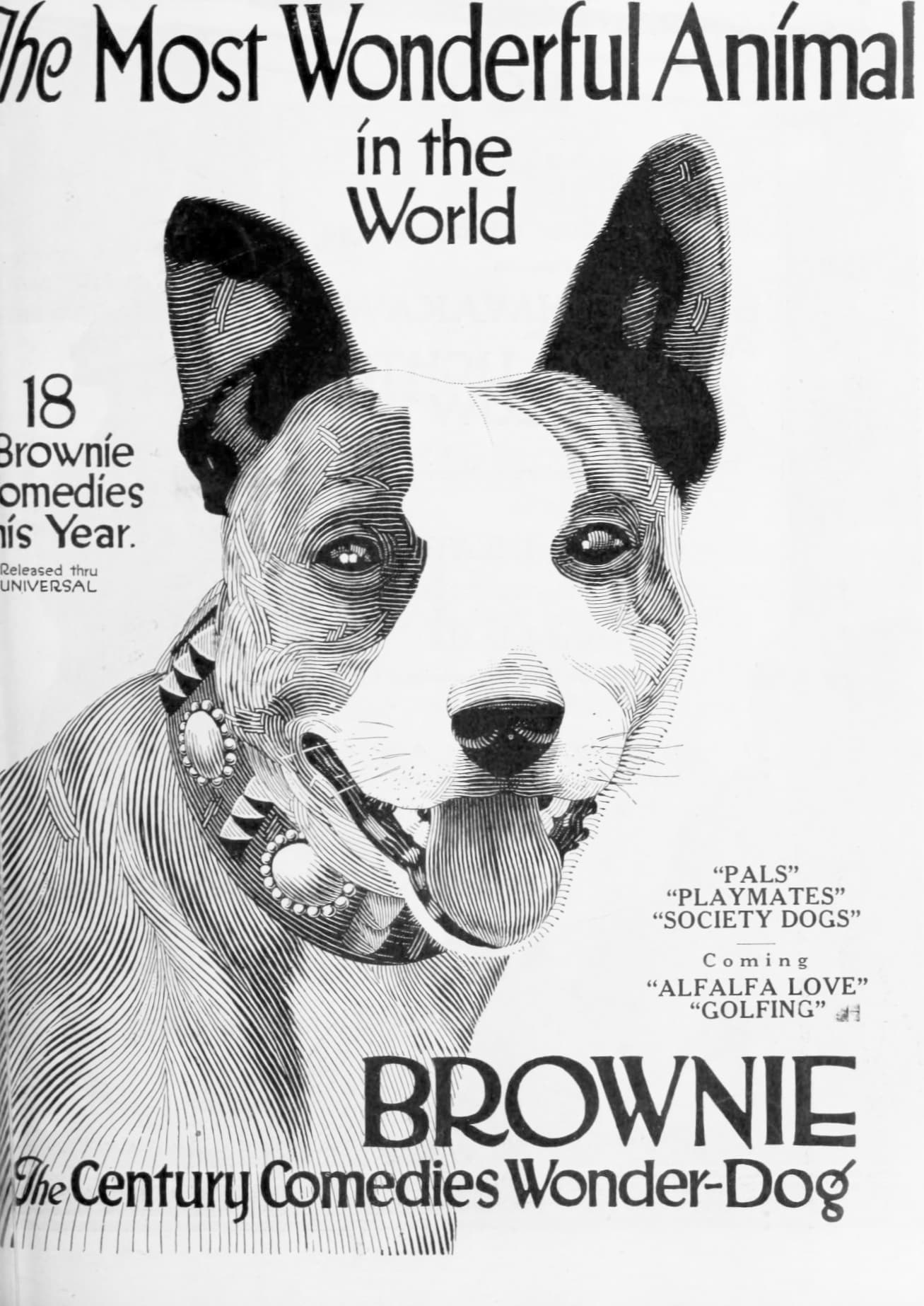 Golfing poster – Cult Cinema