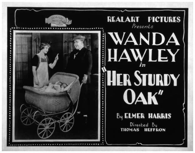 Her Sturdy Oak poster