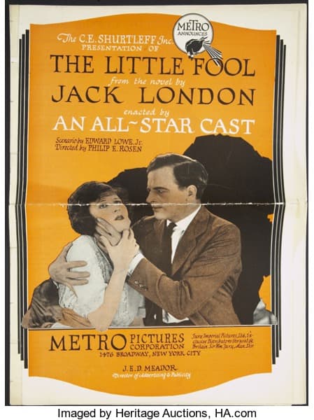 The Little Fool (1921) film backdrop