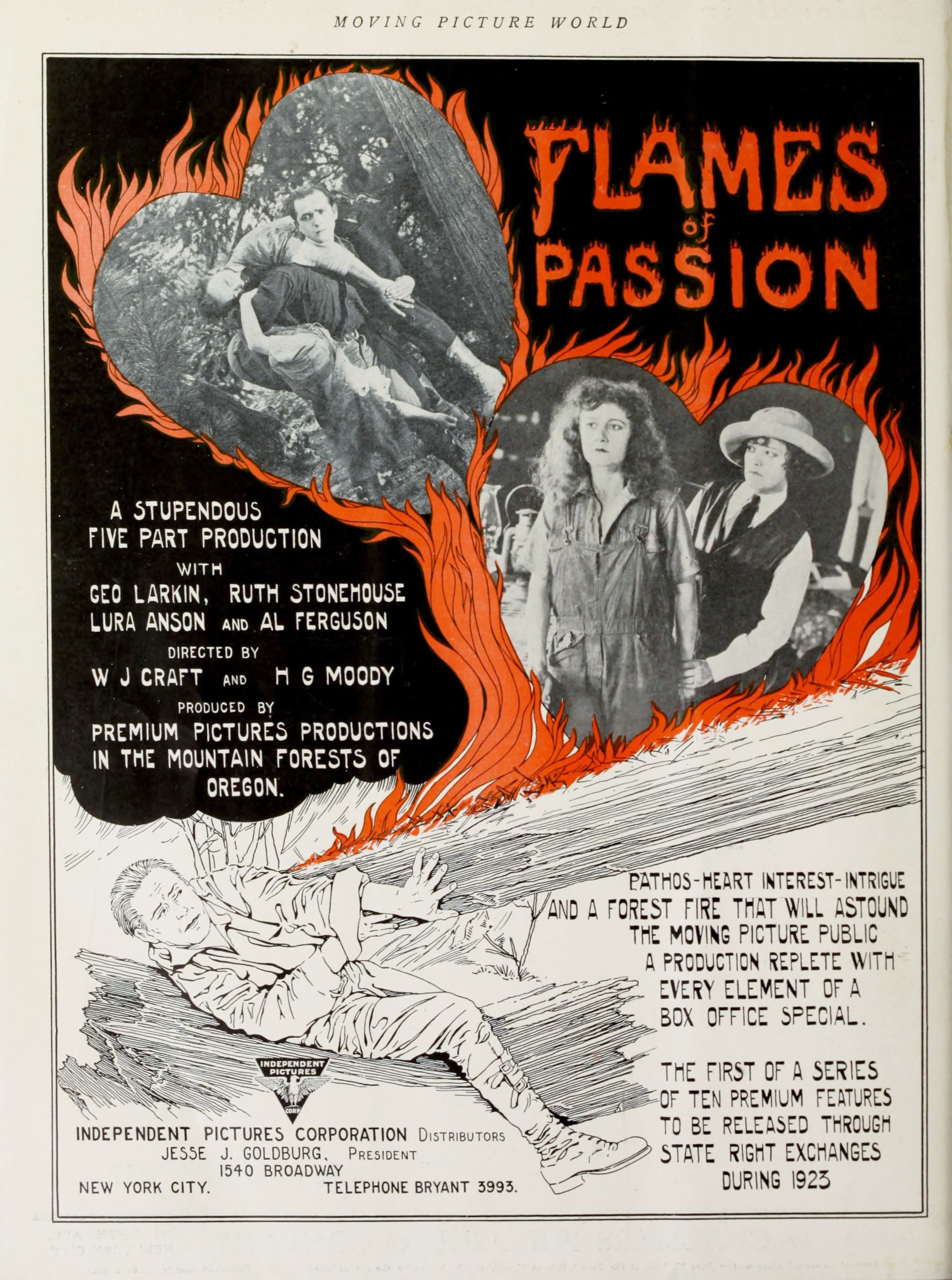 Flames of Passion poster