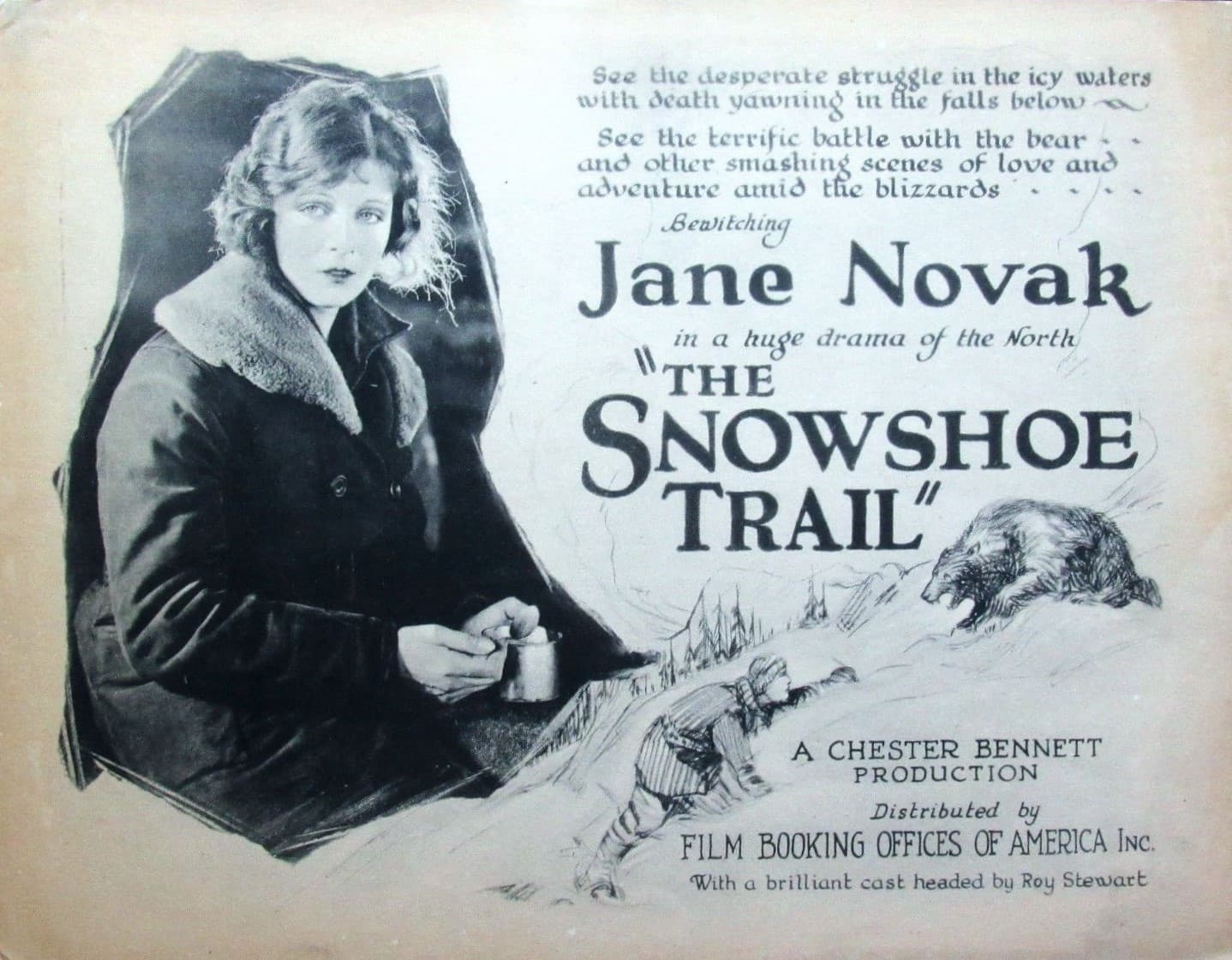The Snowshoe Trail poster – Cult Cinema