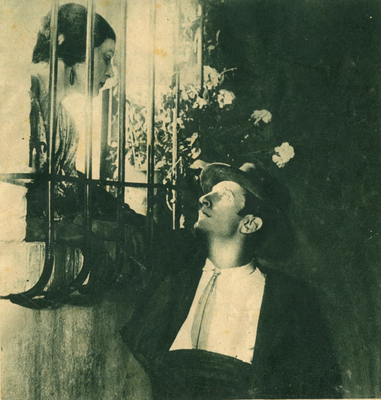 Aux jardins de Murcie