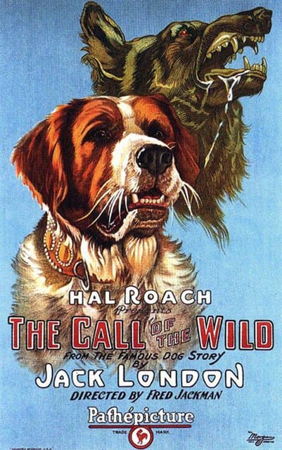Call of the Wild poster