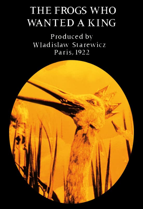 The Frogs Who Wanted a King poster – Cult Cinema