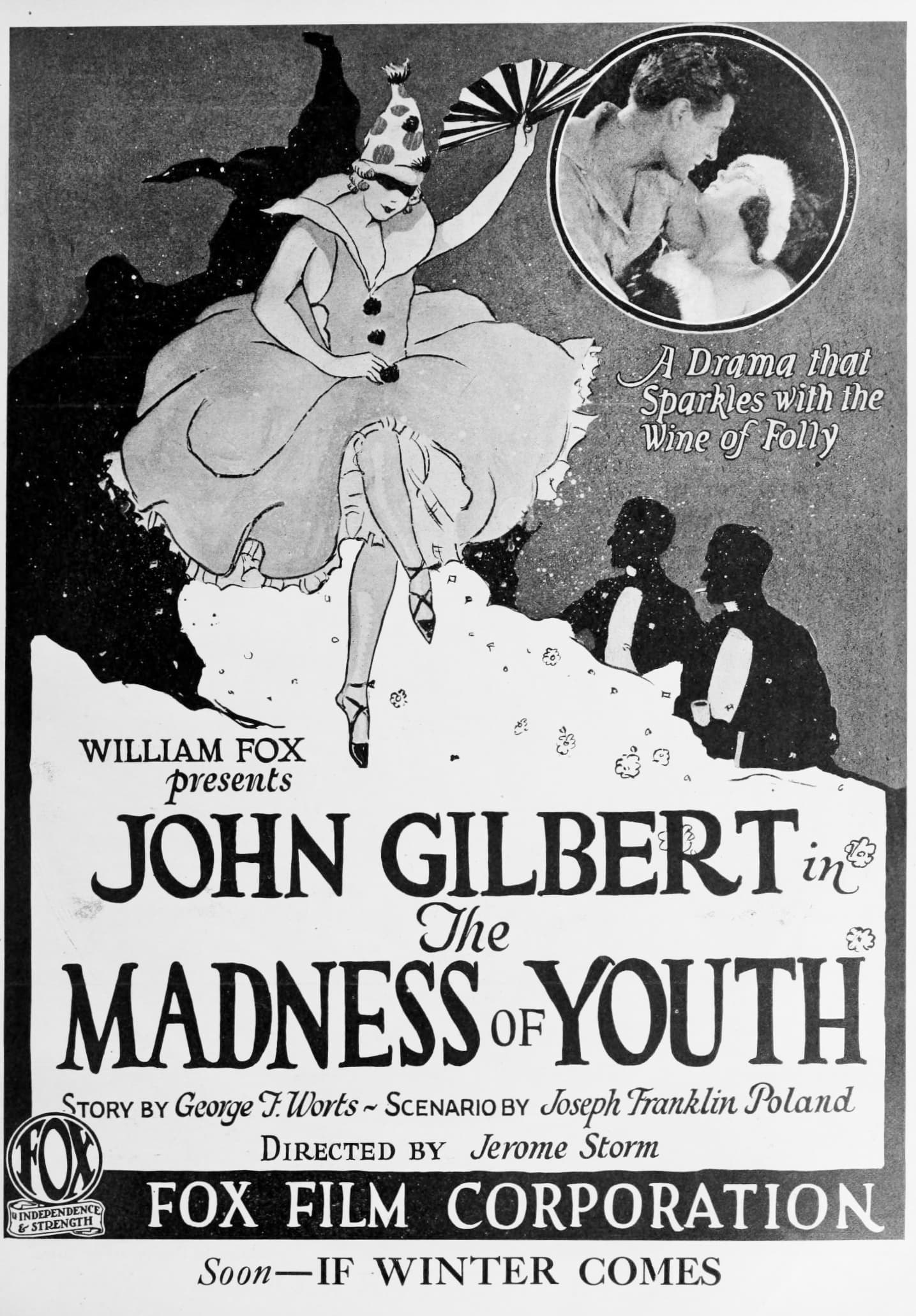 Madness of Youth poster