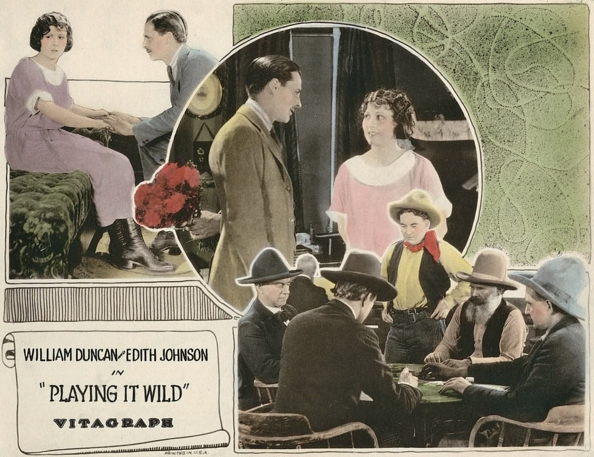 Playing It Wild poster