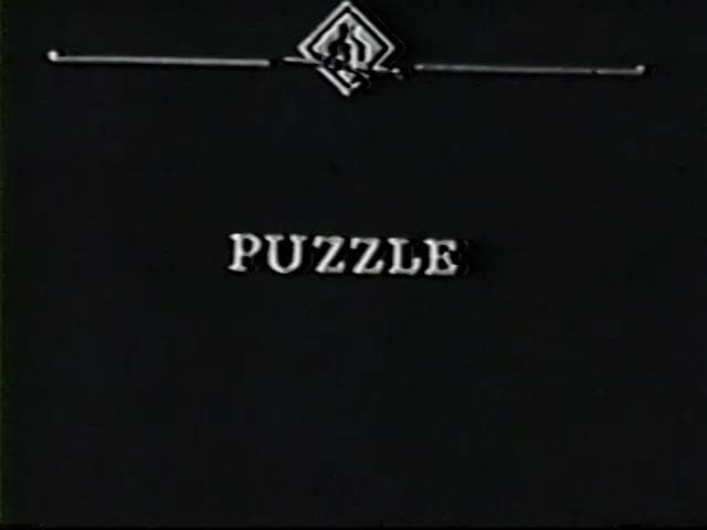 The Puzzle poster