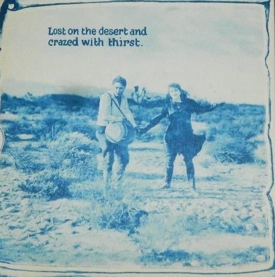 Ruth of the Range poster