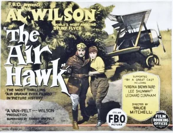 The Air Hawk poster