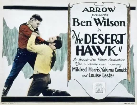 The Desert Hawk poster