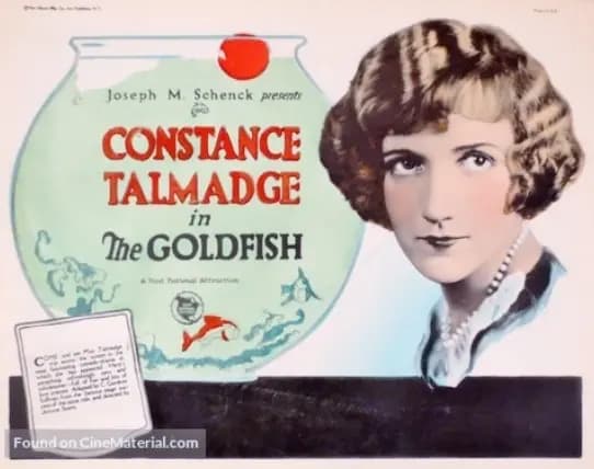 The Goldfish poster