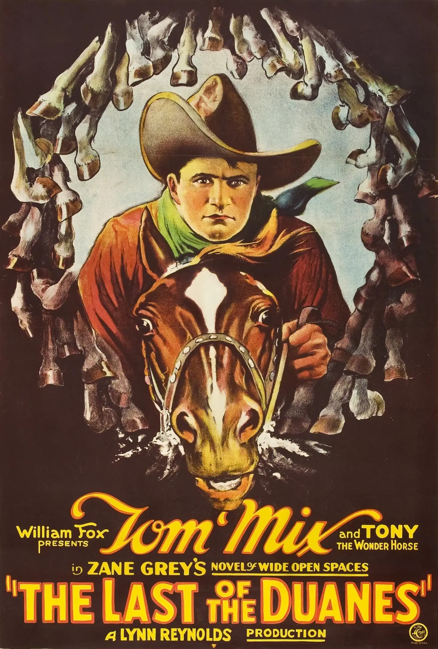 The Last of the Duanes poster