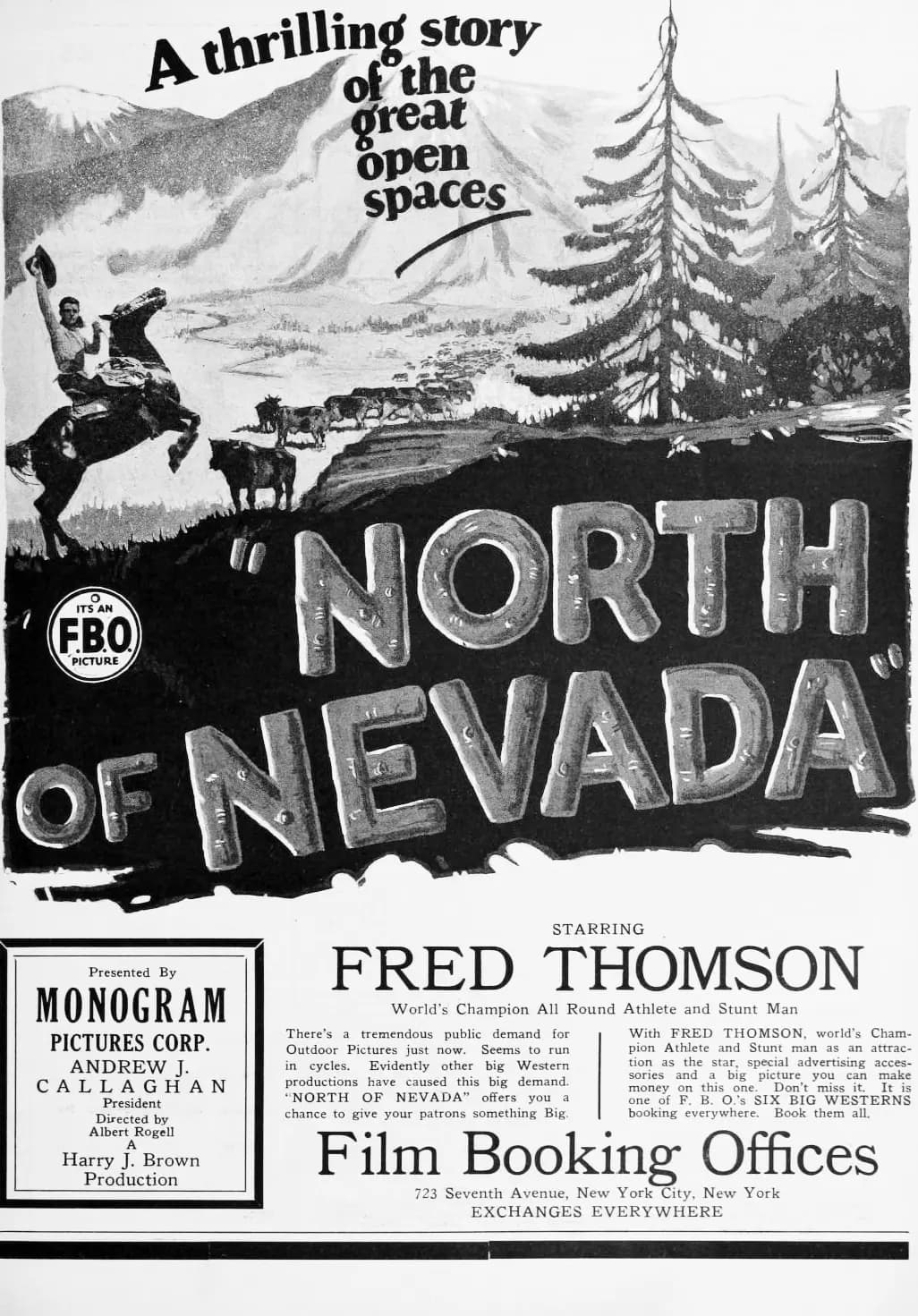 North of Nevada poster