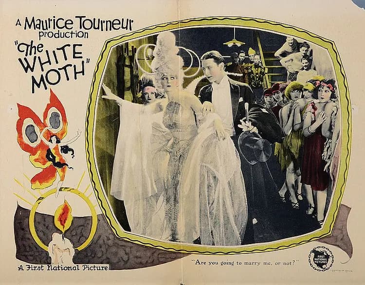 The White Moth poster
