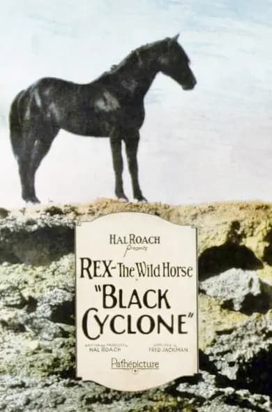 Black Cyclone