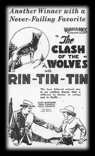 Clash of the Wolves (1925) film backdrop