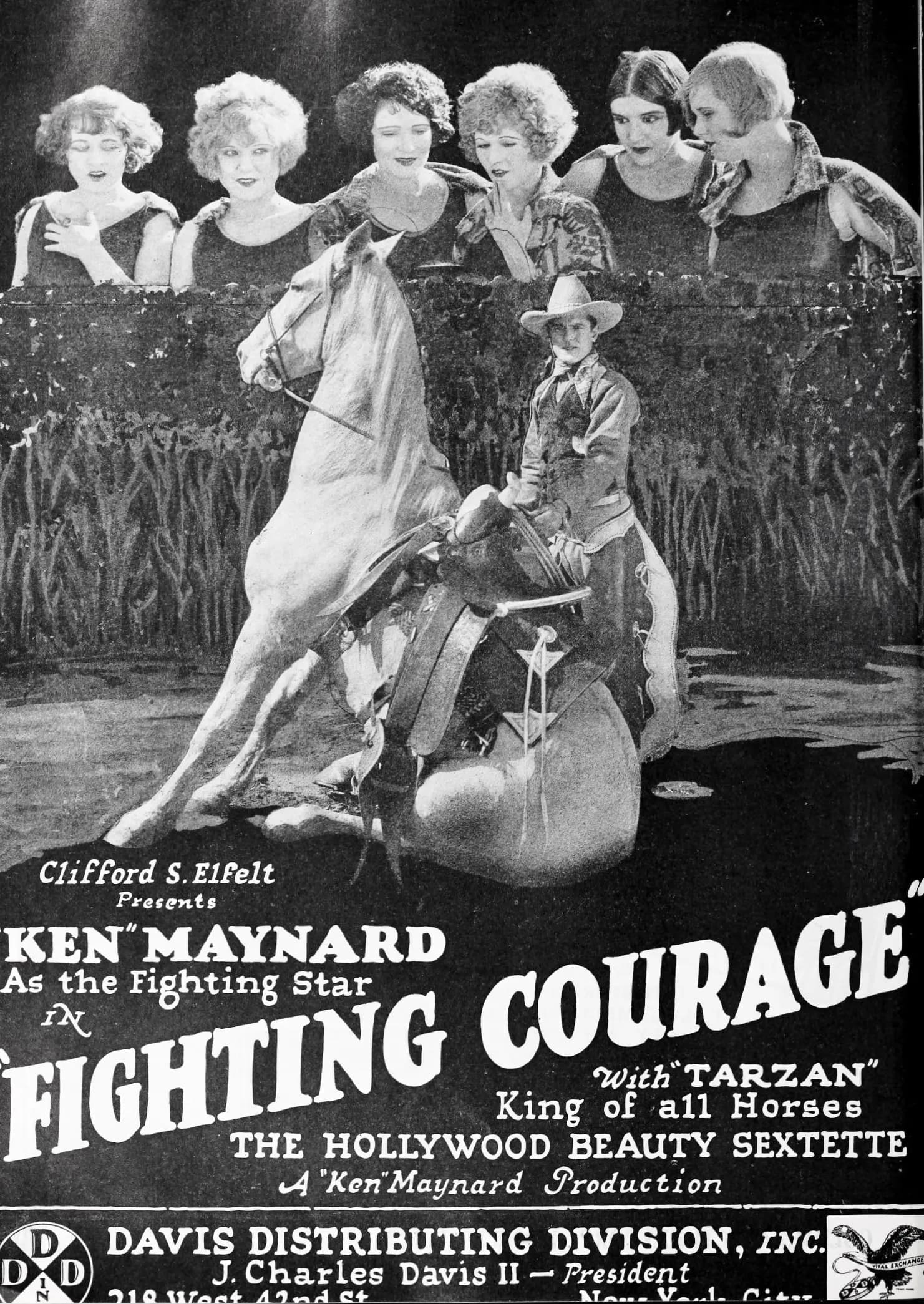 Fighting Courage