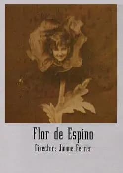 Flor de espino