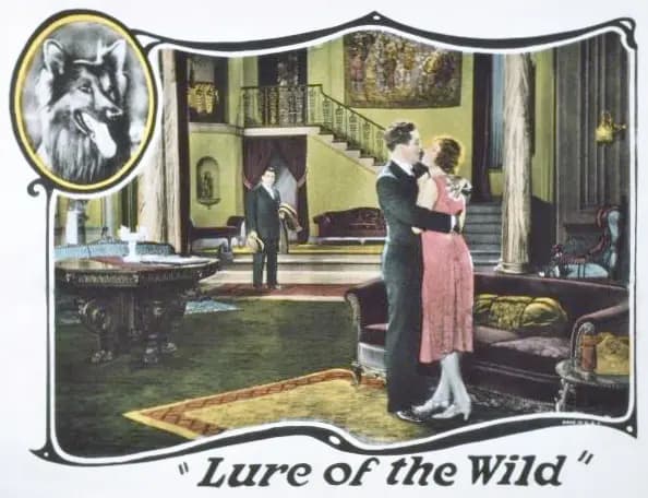 The Lure of the Wild