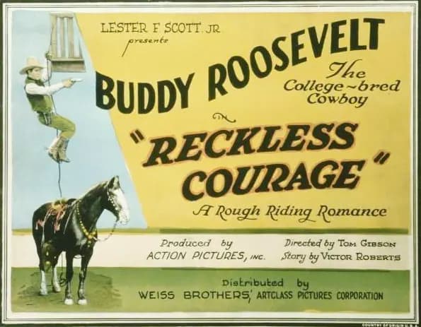 Reckless Courage
