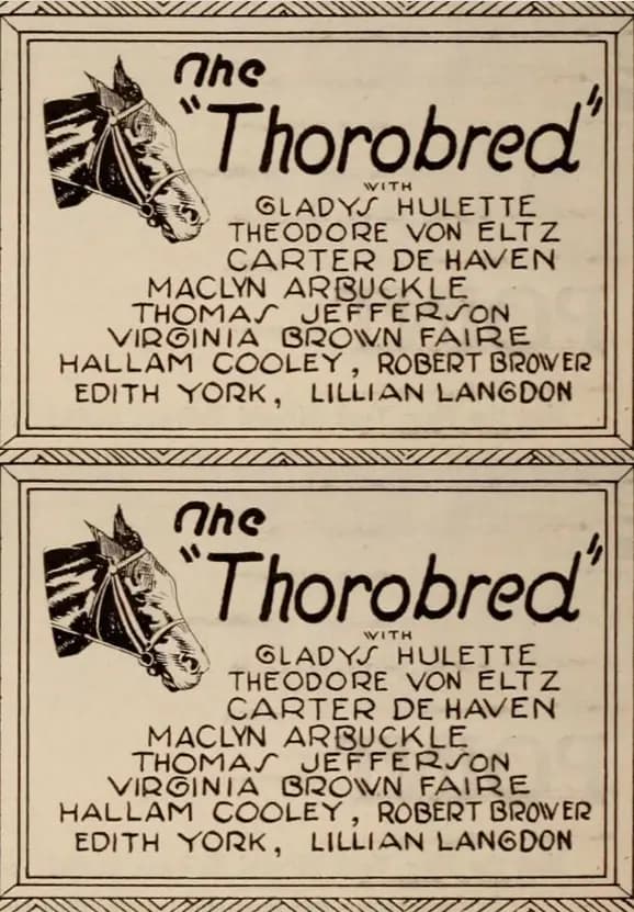 The Thoroughbred