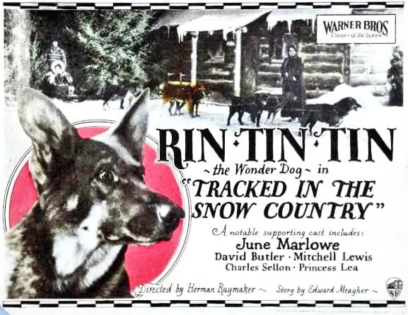 Tracked in the Snow Country