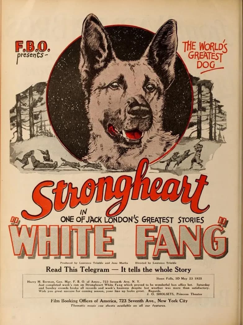 White Fang poster