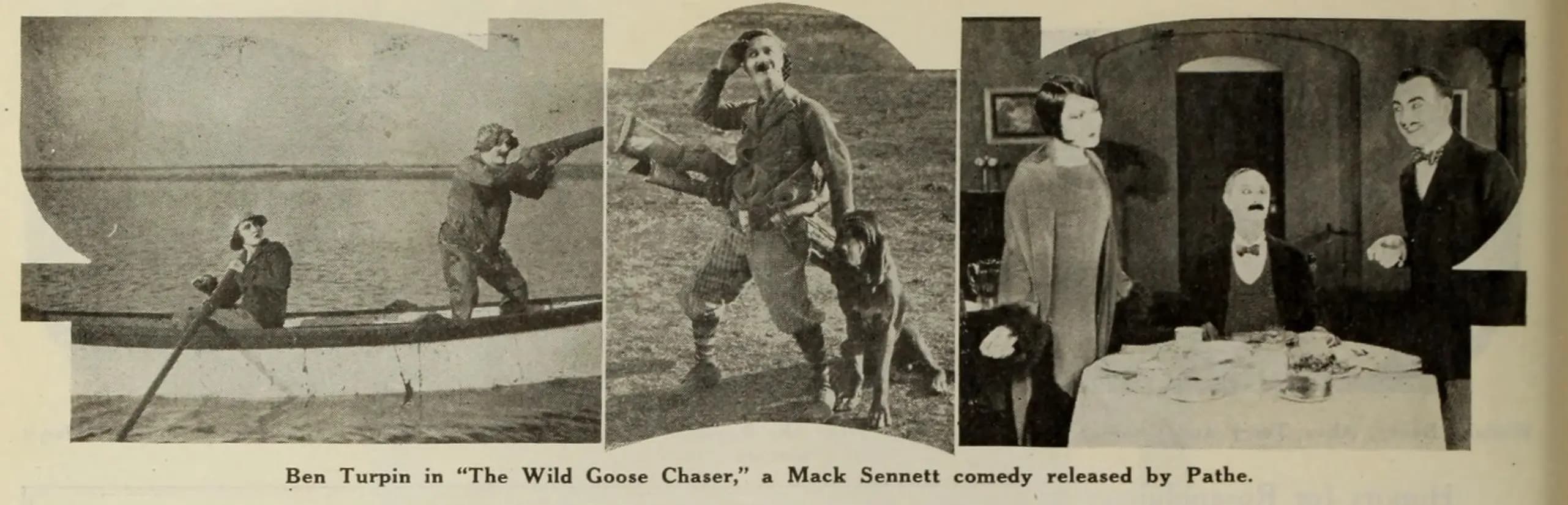 The Wild Goose Chaser