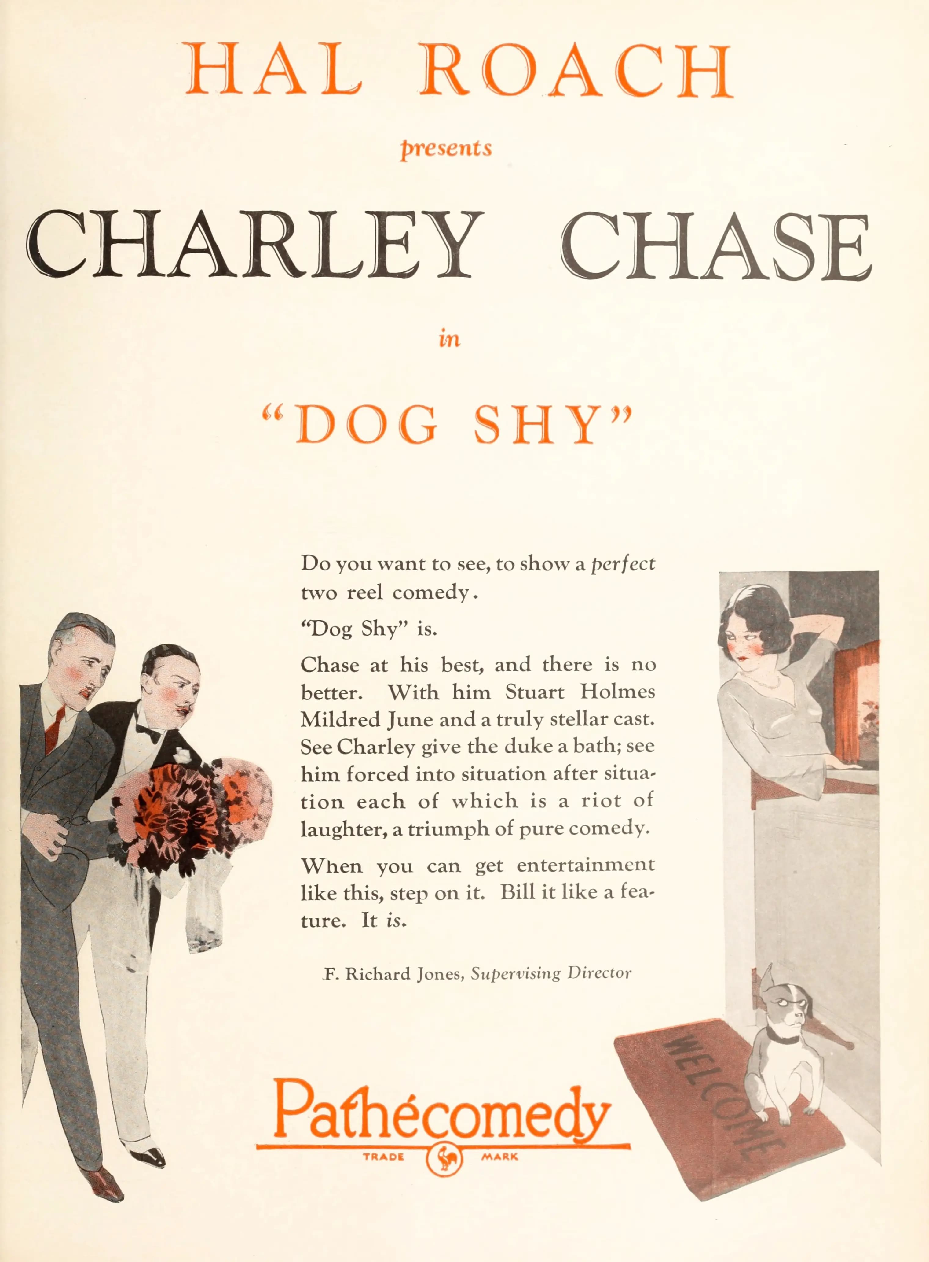 Dog Shy