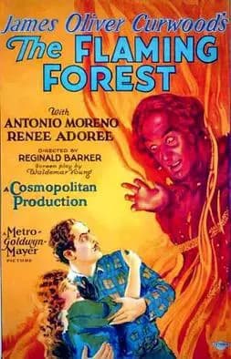 The Flaming Forest