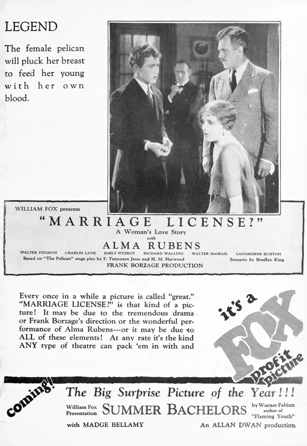 Marriage License?