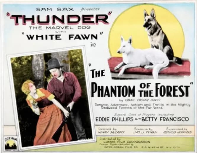 The Phantom of the Forest