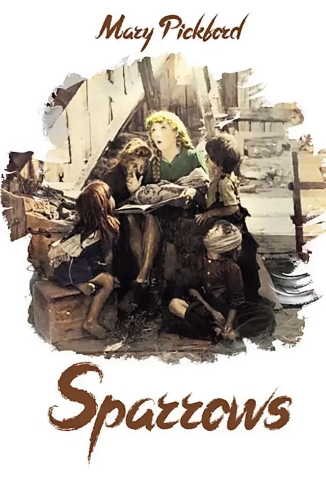 Sparrows