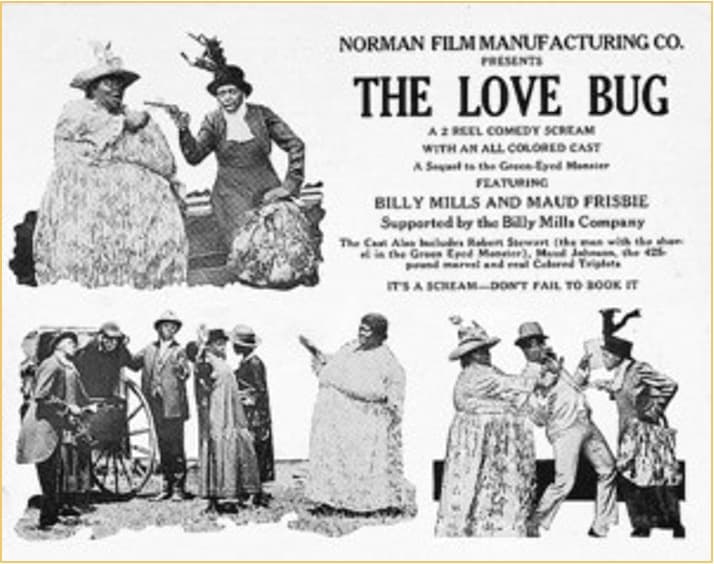The Love Bug poster – Cult Cinema