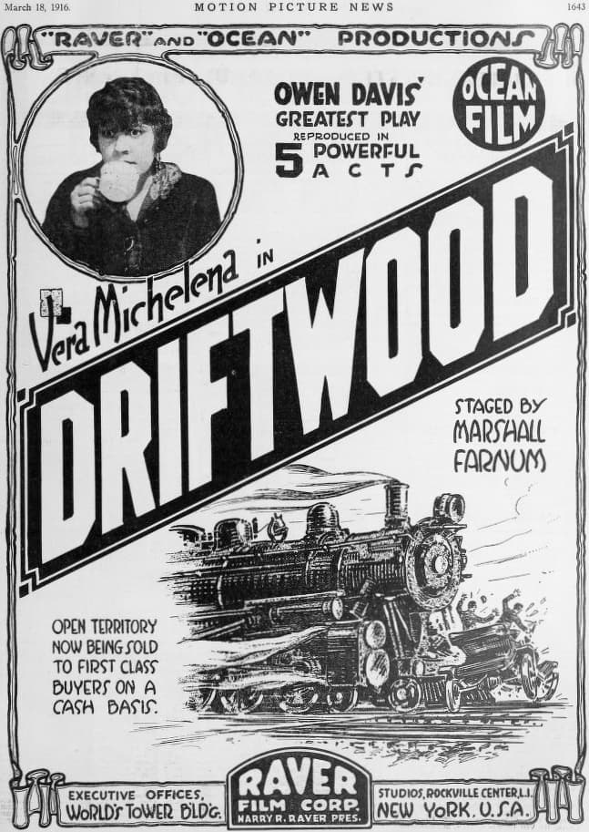 Driftwood poster – Cult Cinema