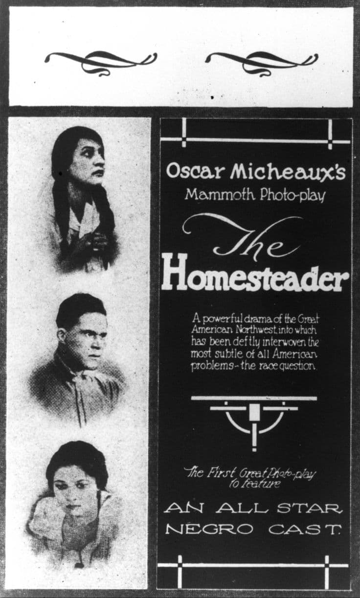 The Homesteader (1919) film backdrop
