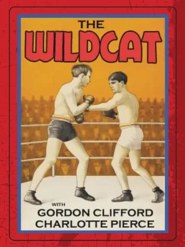 The Wildcat