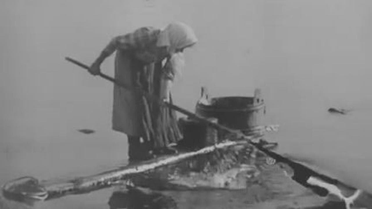 Wedding in Poetic Karjala