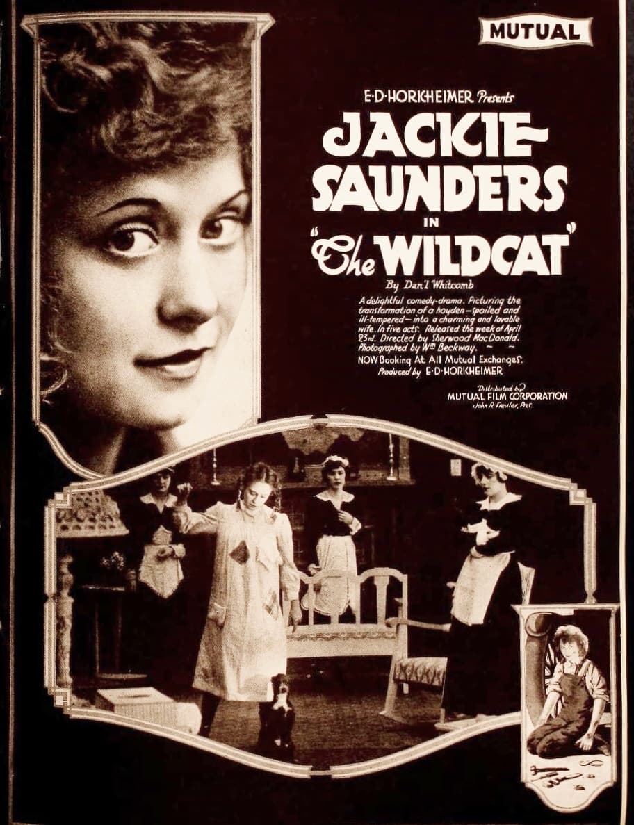 The Wildcat (1917) film backdrop