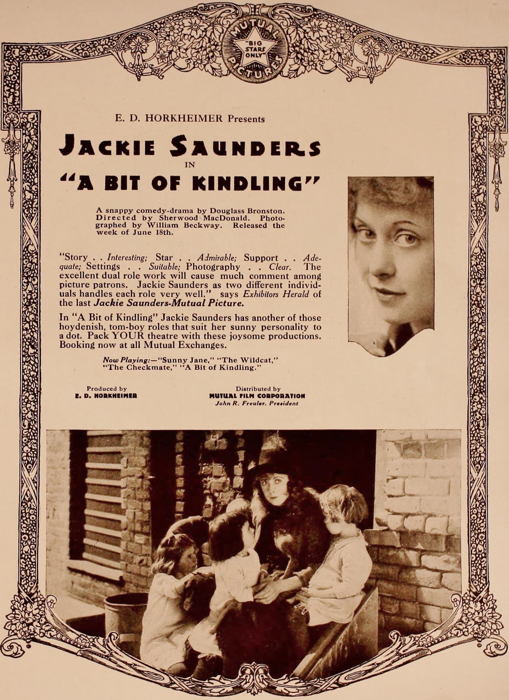 A Bit of Kindling poster – Cult Cinema