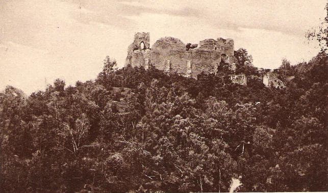 Cetatea Neamtului poster – Cult Cinema