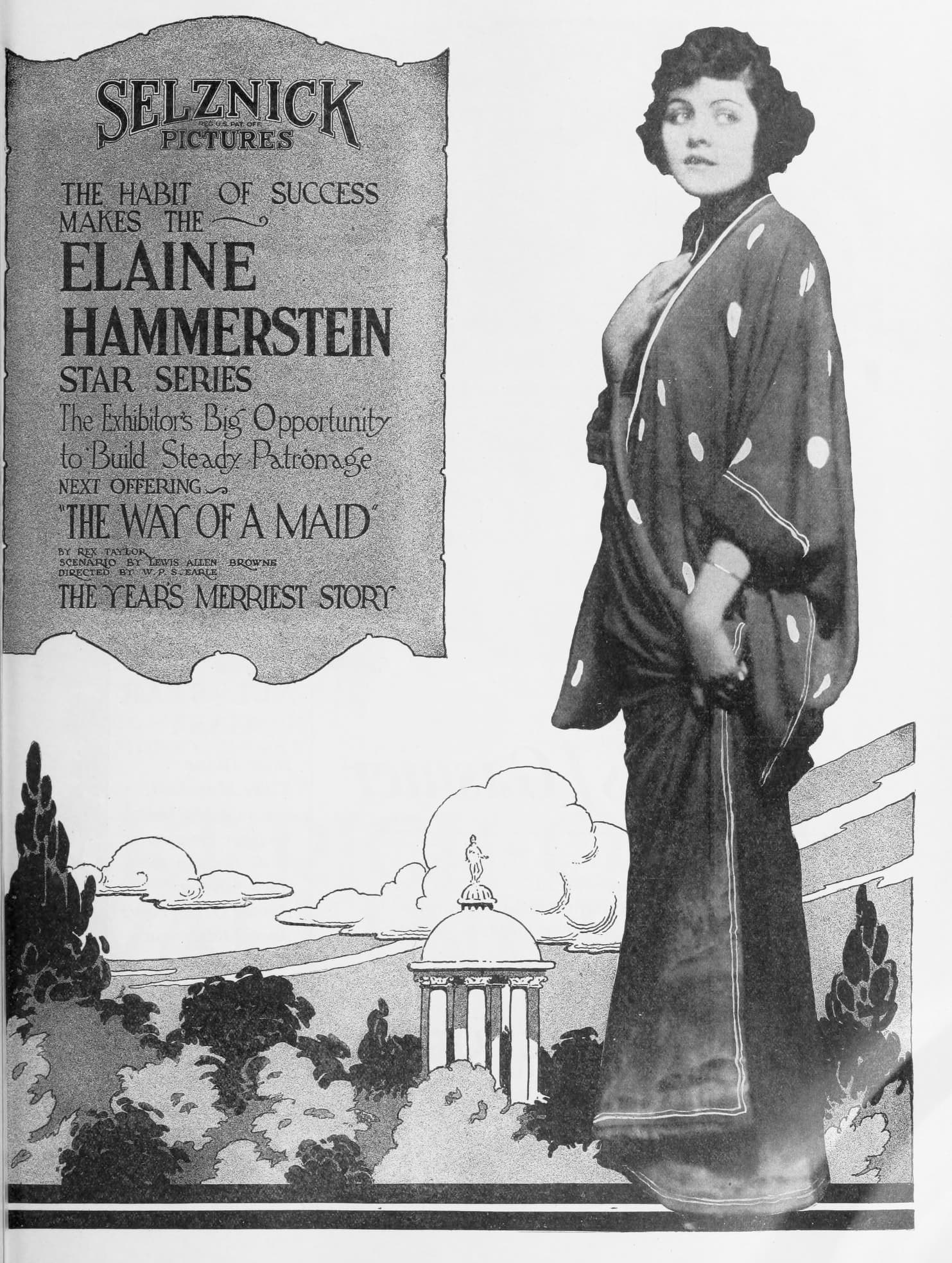 The Way of a Maid poster – Cult Cinema