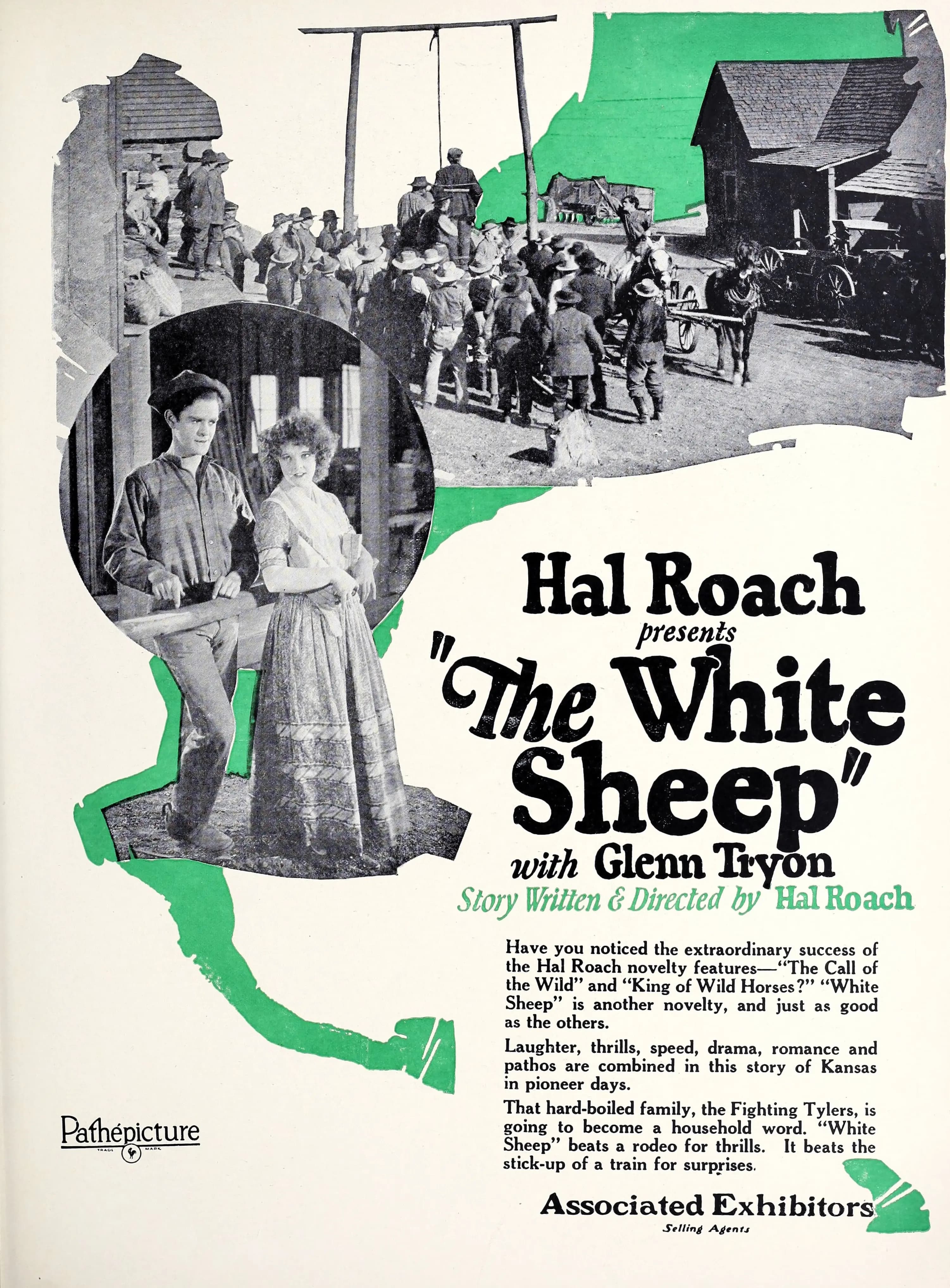 The White Sheep poster