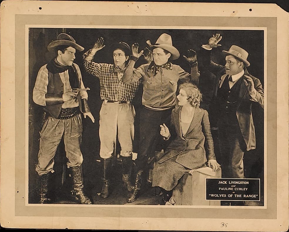 Wolves of the Range poster – Cult Cinema