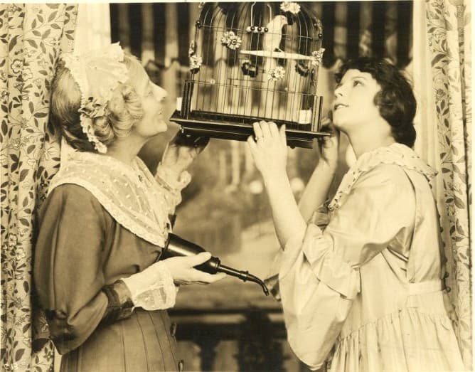 Passion (1917) film backdrop