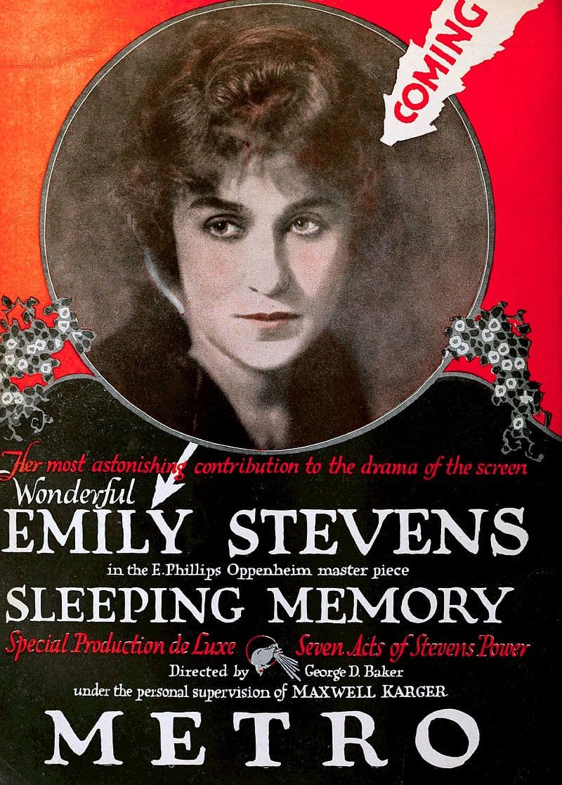 A Sleeping Memory poster – Cult Cinema